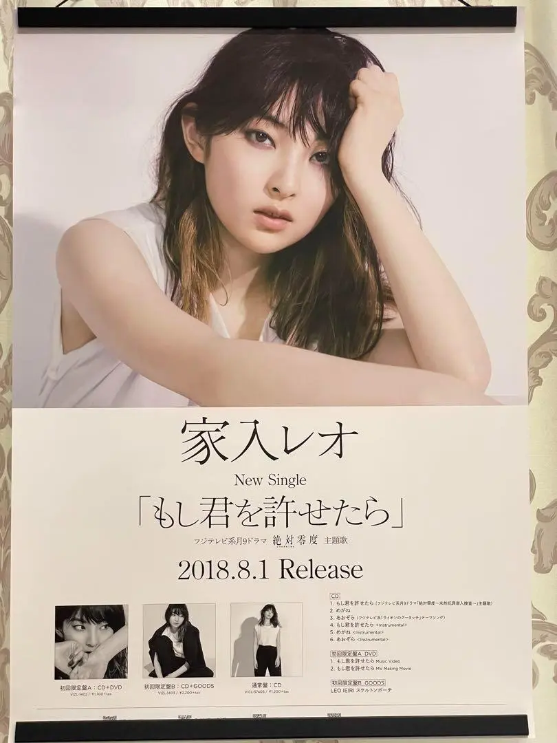 家入レオ　デビュー当初　DAM 宣伝用　B1ポスター 家入レオデビュー当初DAM 宣伝用B1ポスター