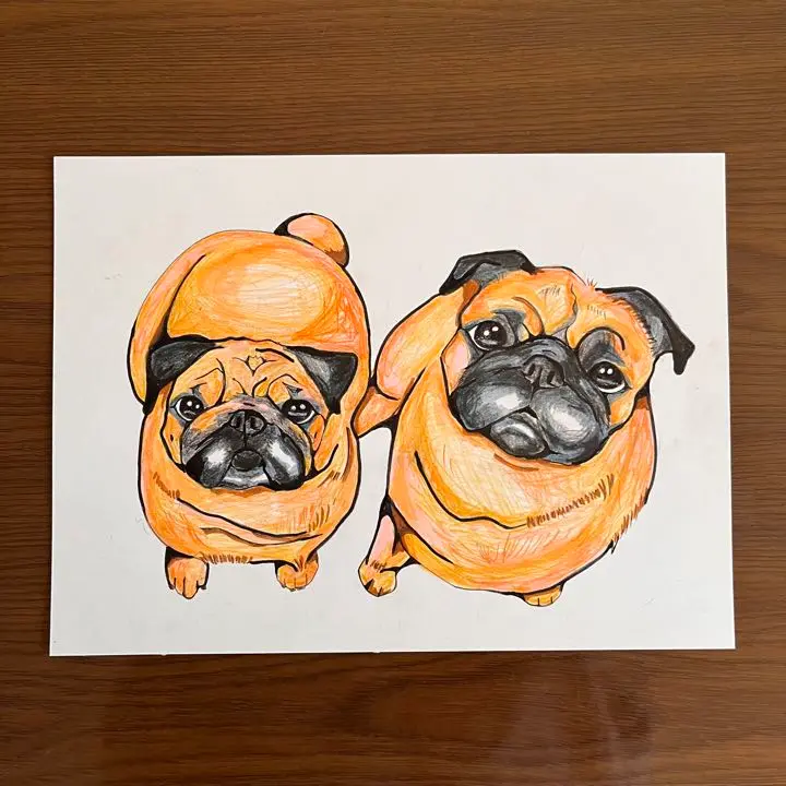 パグ❤️ 犬　原画　鉛筆画　絵画　手描き　イラスト　ハガキサイズ！！ パグ 鉛筆画 絵 - メルカリ