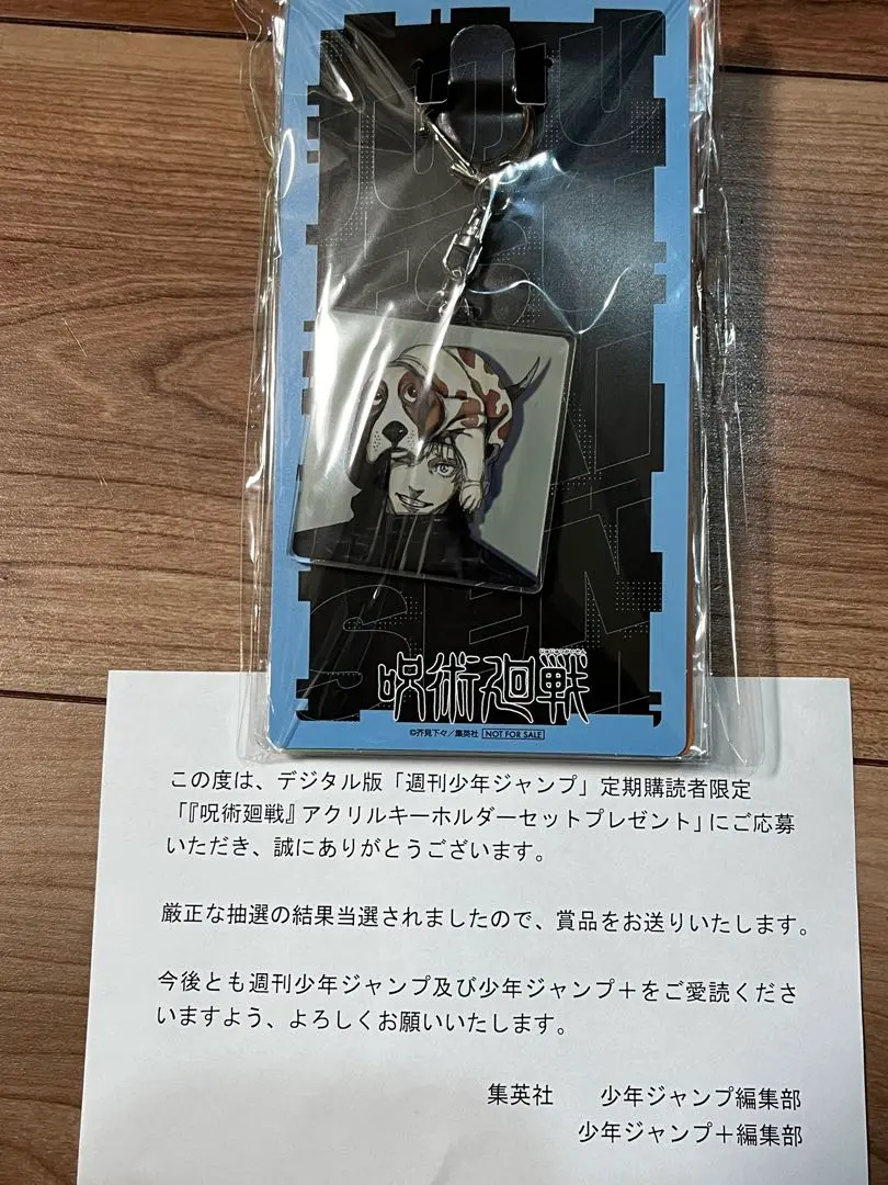 今 話題 の 人気 商品 2025年最新】定期購読 アクリルキーホルダーの人気 呪術廻戦 キーホルダー