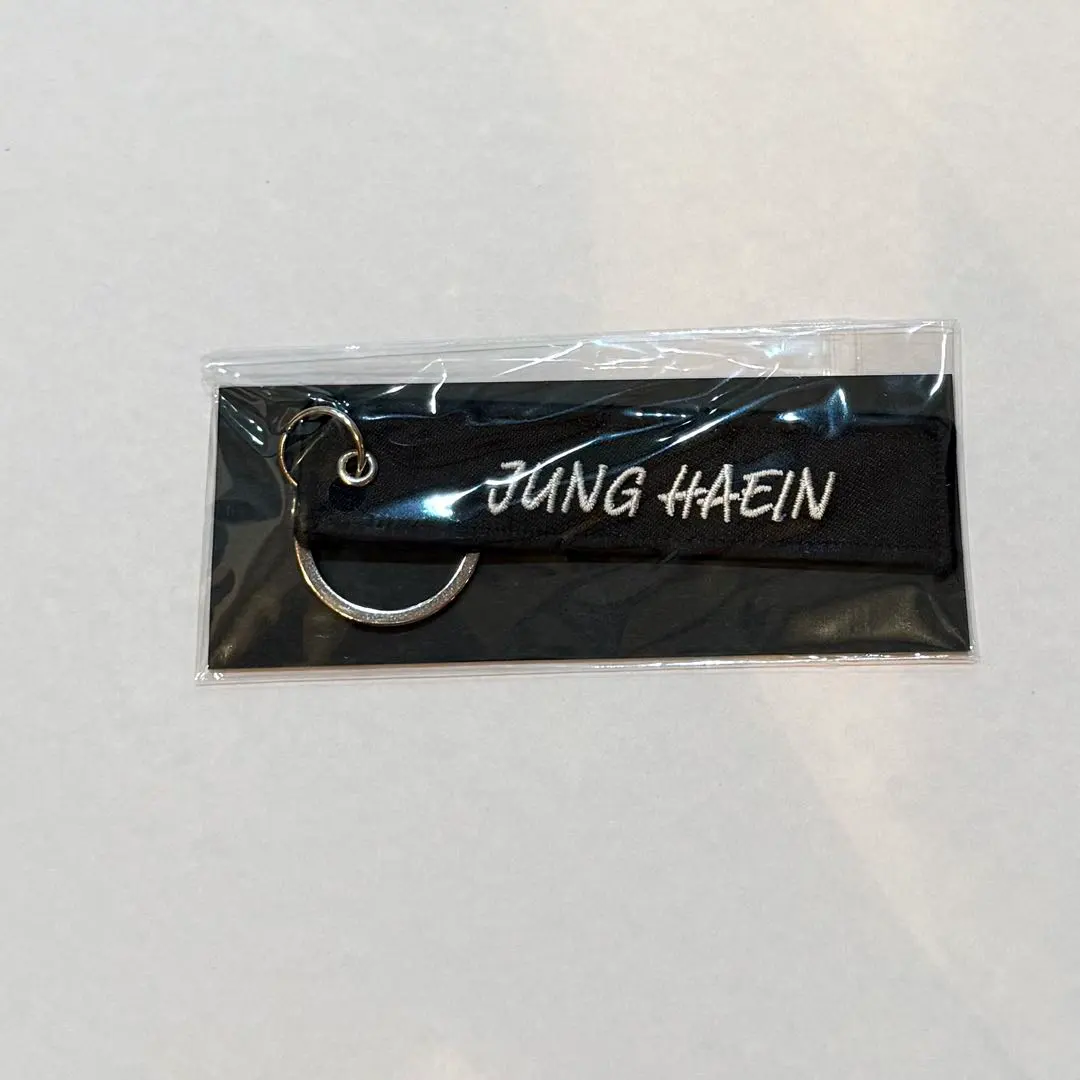 丁海寅 FC 入會特典 鑰匙圈 的縮圖