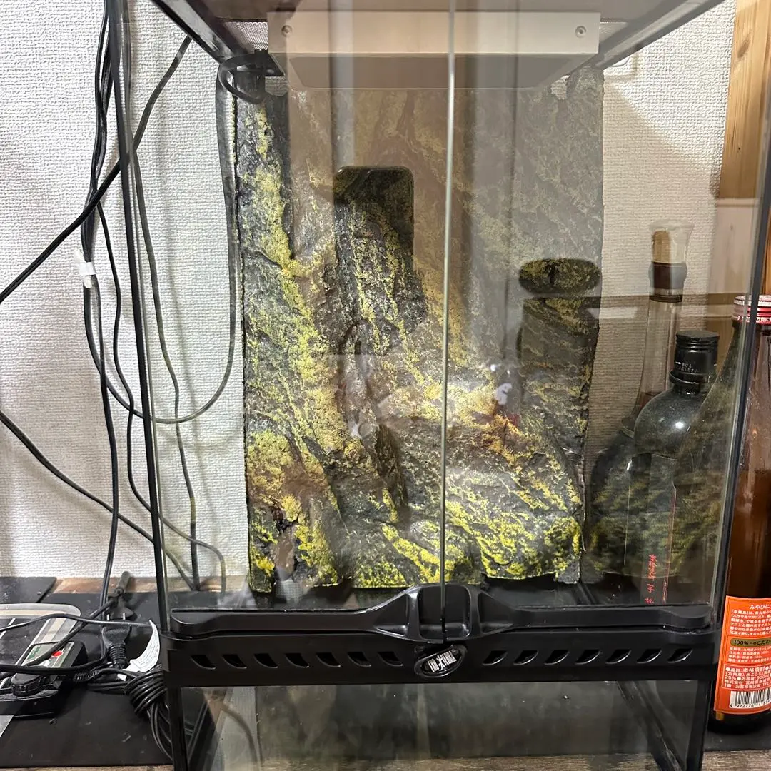 Ｇ*Ｐ様 超メルカリ市期間限定！GEX グラステラリウム3045 楽天市場】爬虫類ケージ GEX エキゾテラ グラステラリウム