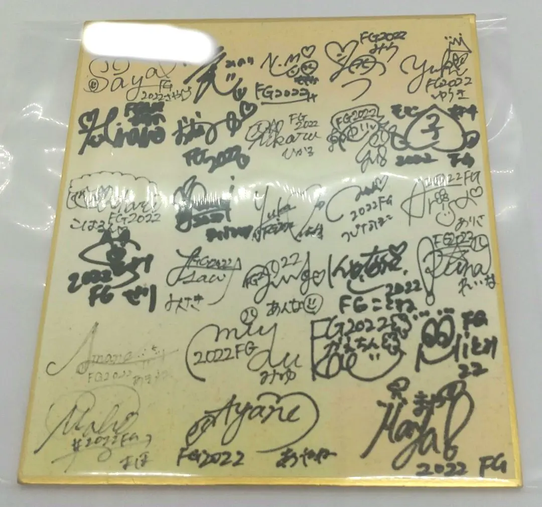 送料無料｜ファイターズガール全メンバー直筆の寄せ書きサイン色紙 2025年最新】ファイターズガール 色紙の人気アイテム - メルカリ