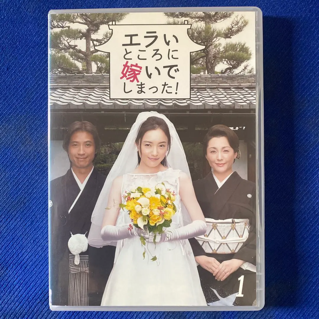 エラいところに嫁いでしまった！　5枚組DVD-BOX DVD エラいところに嫁いでしまった！ 中古DVD・ブルーレイ | ブック