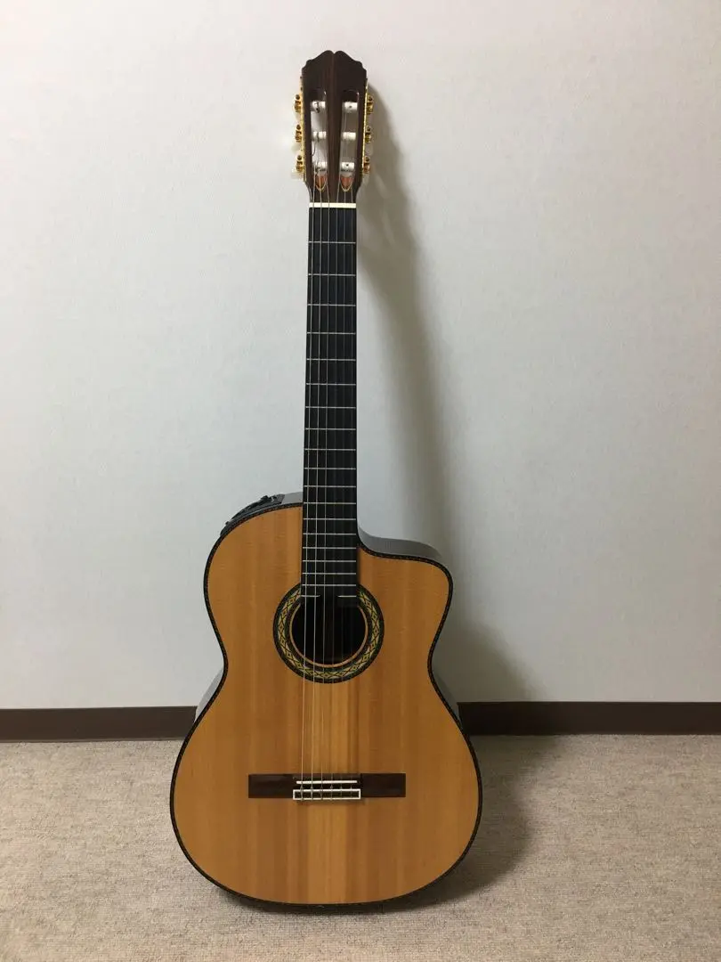 Takamine / DMP700 Custom 大原櫻子仕様 Takamine / DMP700 Custom 大原櫻子仕様