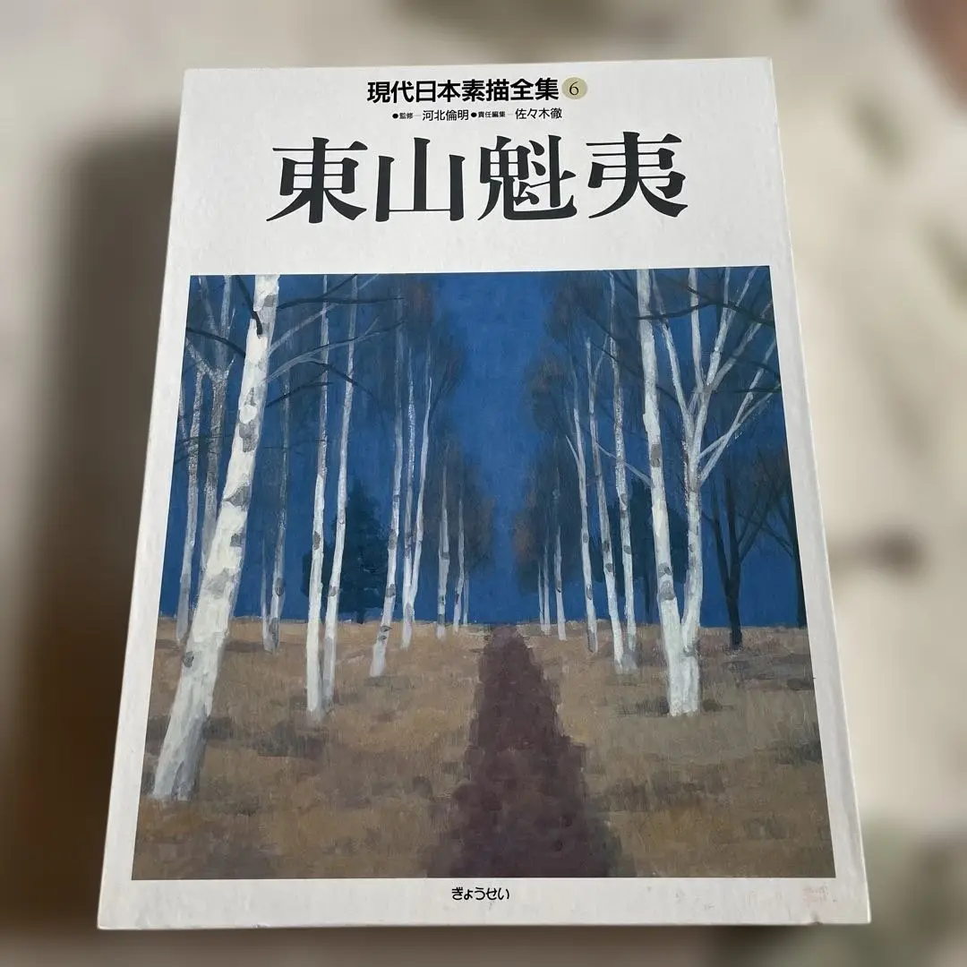 現代日本素描全集  ９ /ぎょうせい（大型本） 2025年最新】現代日本素描全集の人気アイテム - メルカリ