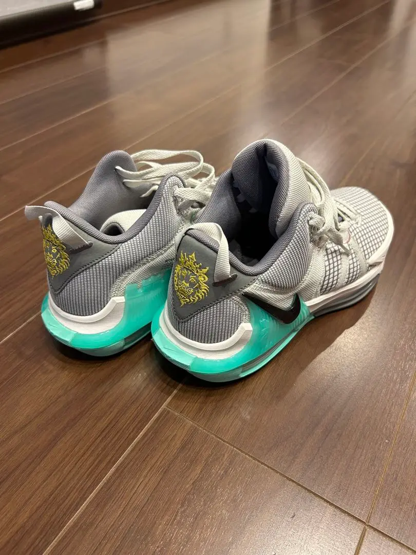 NIKE - みーちゃん♡！！NIKE＊レブロンウィットネス III EP 美品 NIKE - みーちゃん♡様専用！！NIKE＊レブロンウィットネス III