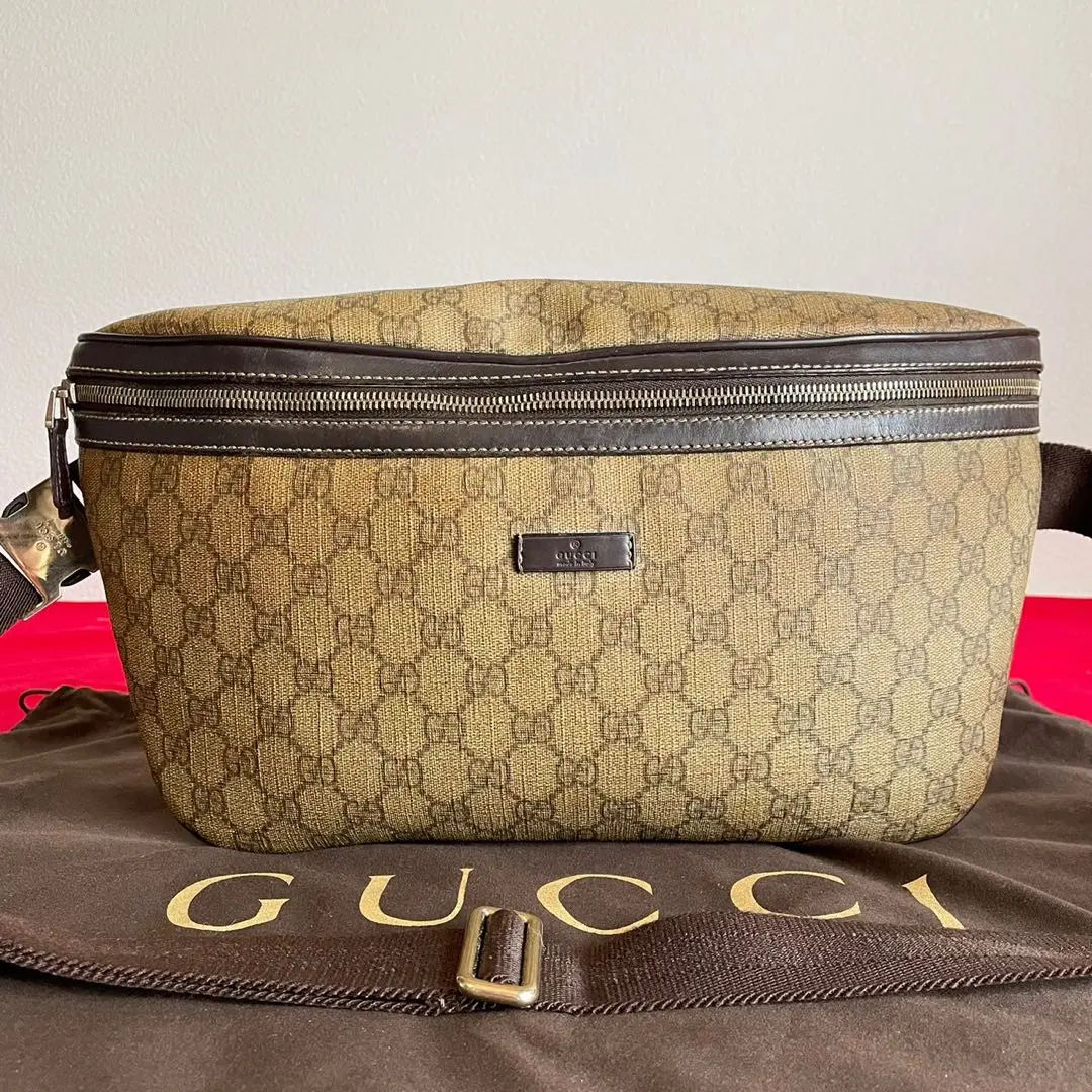 Minni【週末限定値下げ】極美品　GUCCI　GG柄　ウエストバッグ 2025年最新】グッチ GUCCI バッグ ボディバッグ 斜めがけ