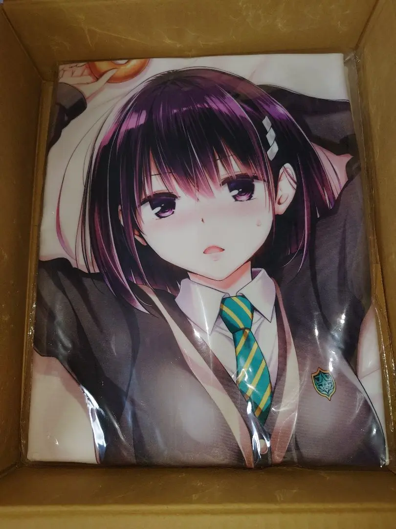 国内正規品未開封新品 あやかしトライアングル 花奏すず 抱き枕カバー 2点セット 519MErEo1+L._UF350,350_QL50_.jpg