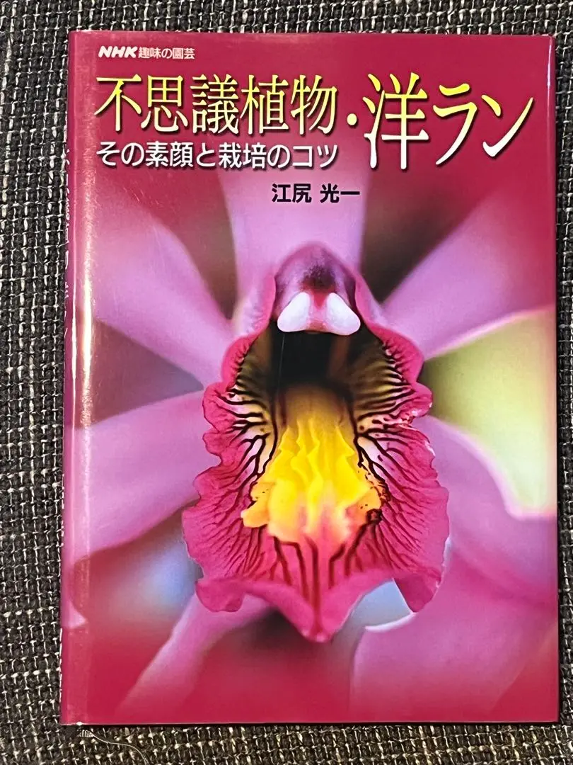 【中古】 江尻光一の洋ラン教室/国際地学協会/江尻光一 2025年最新】#江尻_光一の人気アイテム - メルカリ