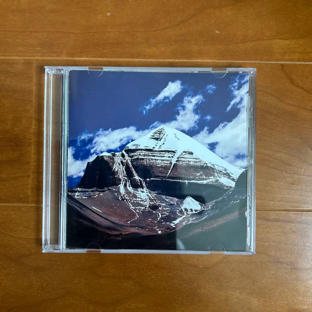 Throbbing Gristle ／ スロッビンク・グリッスル LP 美品】 THROBBING GRISTLE スロッビング・グリッスル Taste of