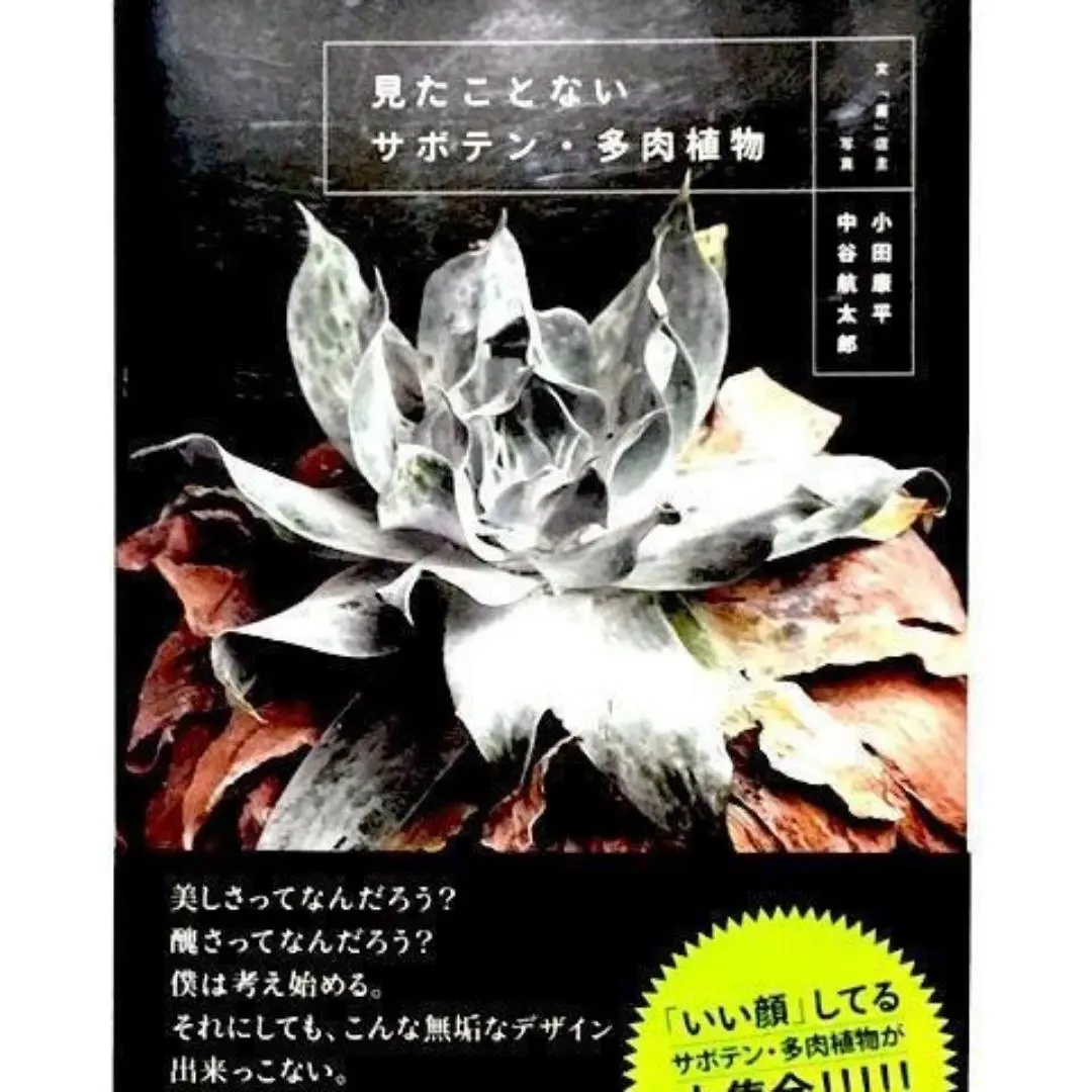 2025年最新】多肉植物写真集の人気アイテム - メルカリ