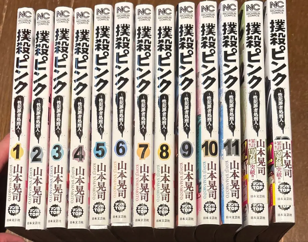 撲殺ピンク　全巻セット　1〜13巻　まとめ売り　漫画 中古 予約商品 撲殺ピンク〜性犯罪者処刑人〜 1〜14巻 漫画 全巻