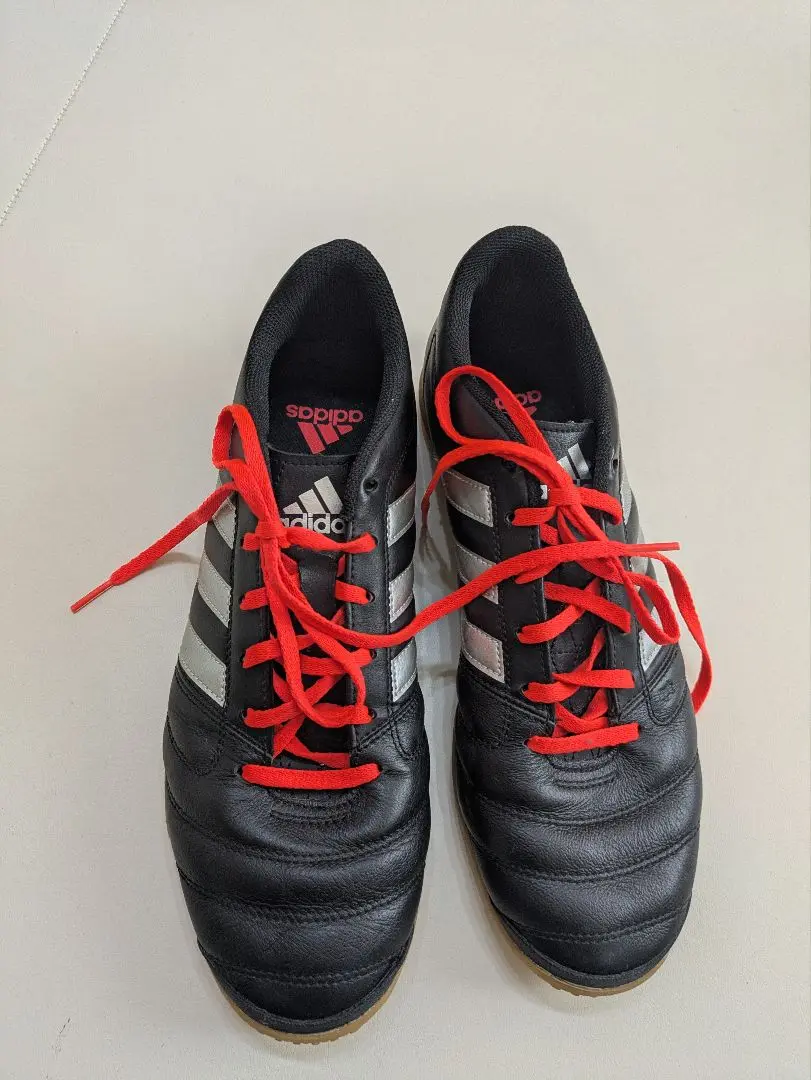 Amazon.co.jp: アディダス(adidas) パティークグローロ 16.1 FG