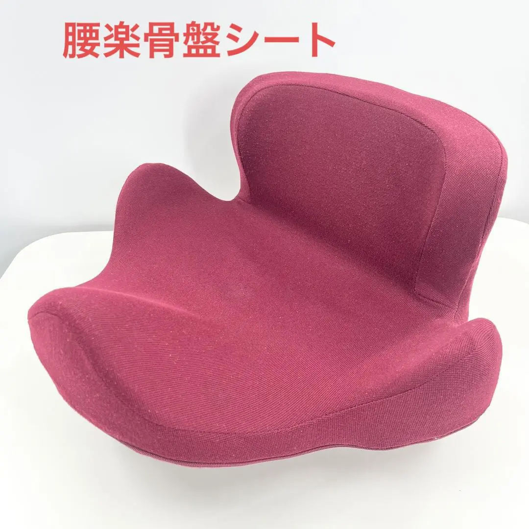 整体師が本気で考えた腰ラク骨盤シート 整体師が本気で考えた 腰ラク骨盤シート(グレー): 美容・健康