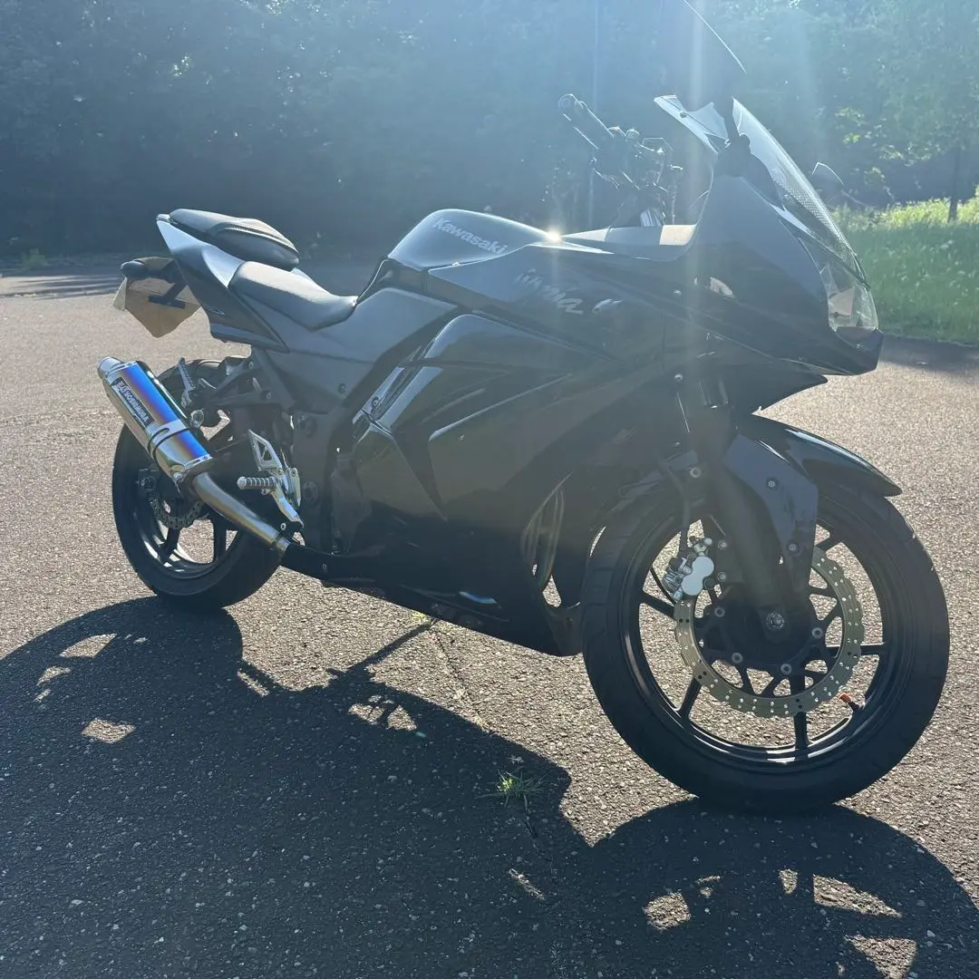 Ninja250R サイドカウル グリーン 左のみ 未使用品】 グリーン サイドカウル Ninja250R 左のみ メルカリ
