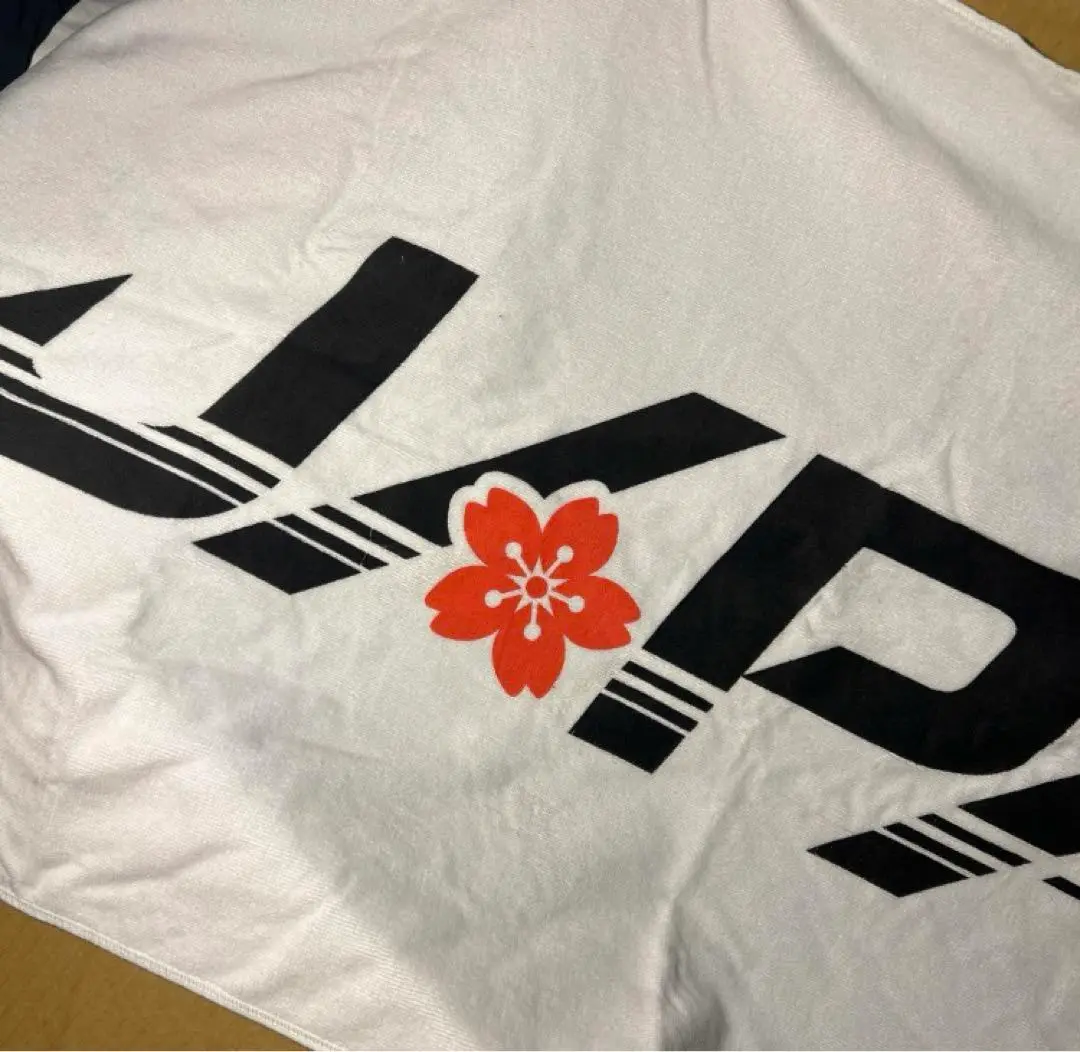 競泳 水泳 日本代表 支給品 水着 Yahoo!オークション -「競泳日本代表」(水泳) (スポーツ別)の