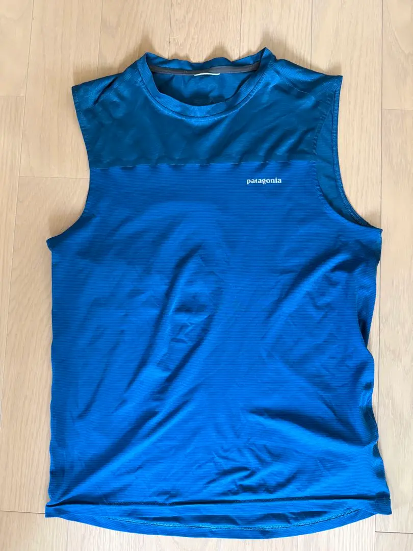 2025年最新】patagonia 袖：ノースリーブ トップス(ジャージ以外