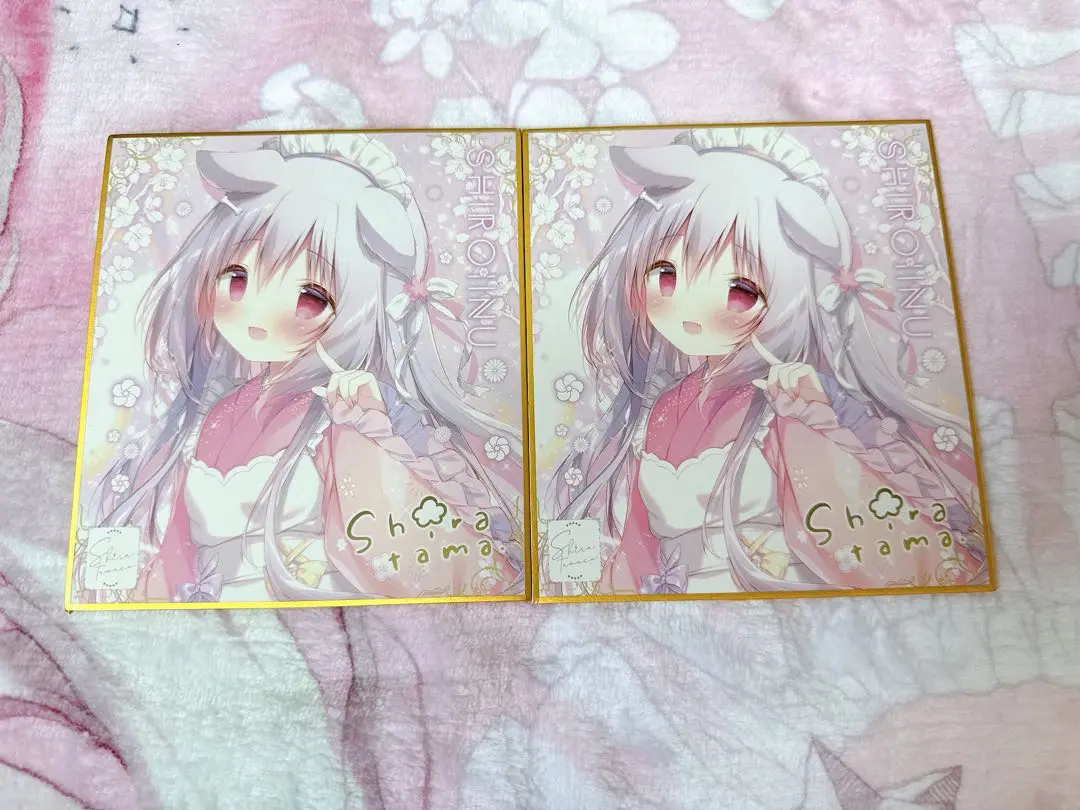 ♡しらたまFANBOX限定しろいいぬ枕カバー♡コミケタペストリーグッズしらたまこ しらたま❄️7月大阪・名古屋オンリーショップ開催❕ on X: 
