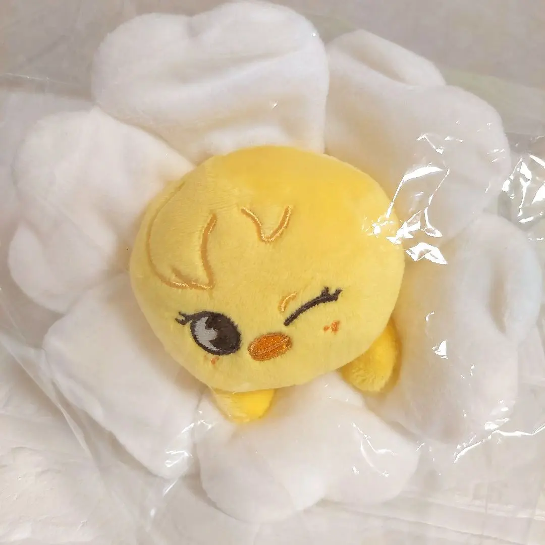 2025年最新】Straykids popup ペンケースの人気アイテム - メルカリ