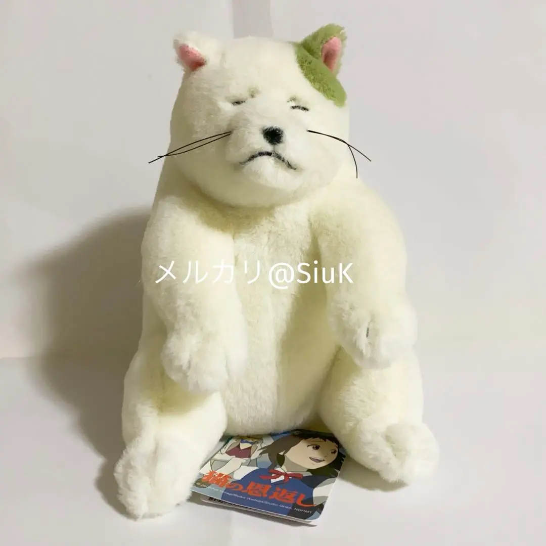 Amazon.co.jp: 特典 猫の国からの御礼目録 ポスター どんぐり