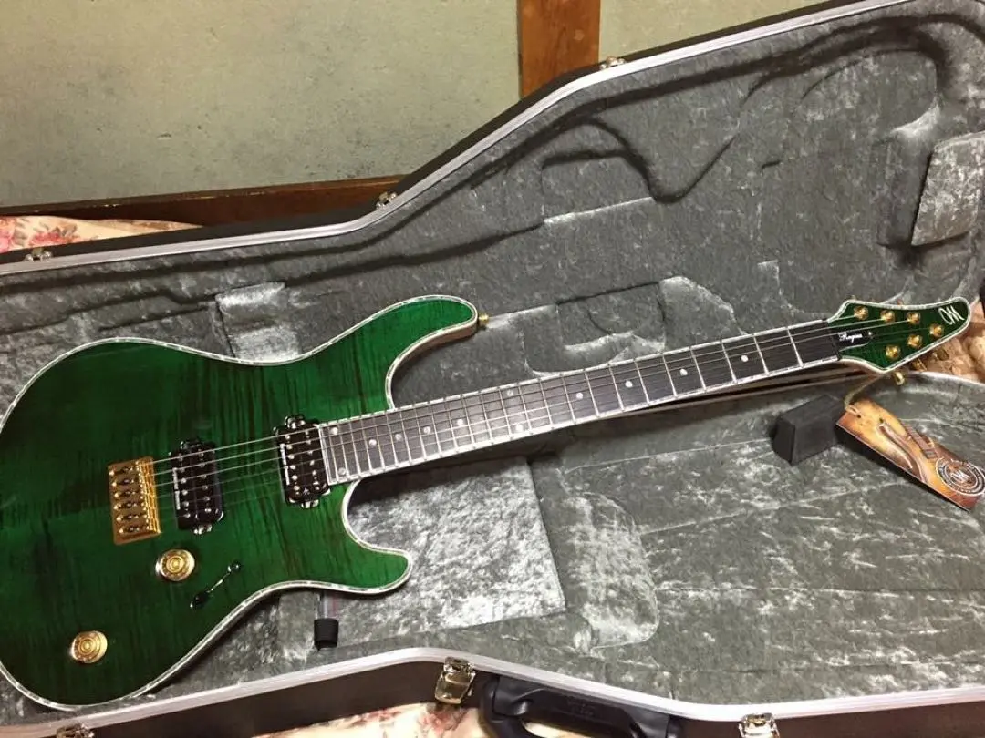 Mayones Regius6 エレキギター 自然木仕上げ ハードケース付 MAYONES(メイワンズ) / REGIUS 6 Regius 6/Trans Black/2016