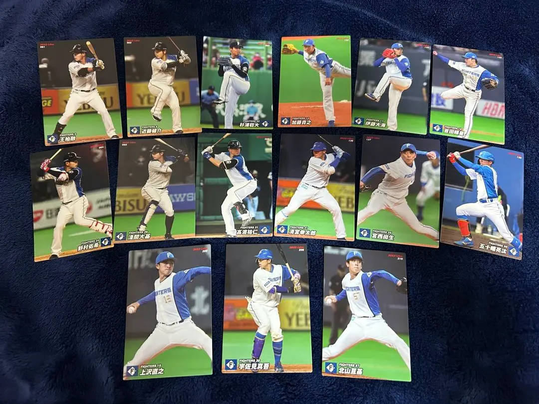 Thumbnail of 2022 Professional Baseball Cards: Hokkaido Nippon-Ham Fighters
