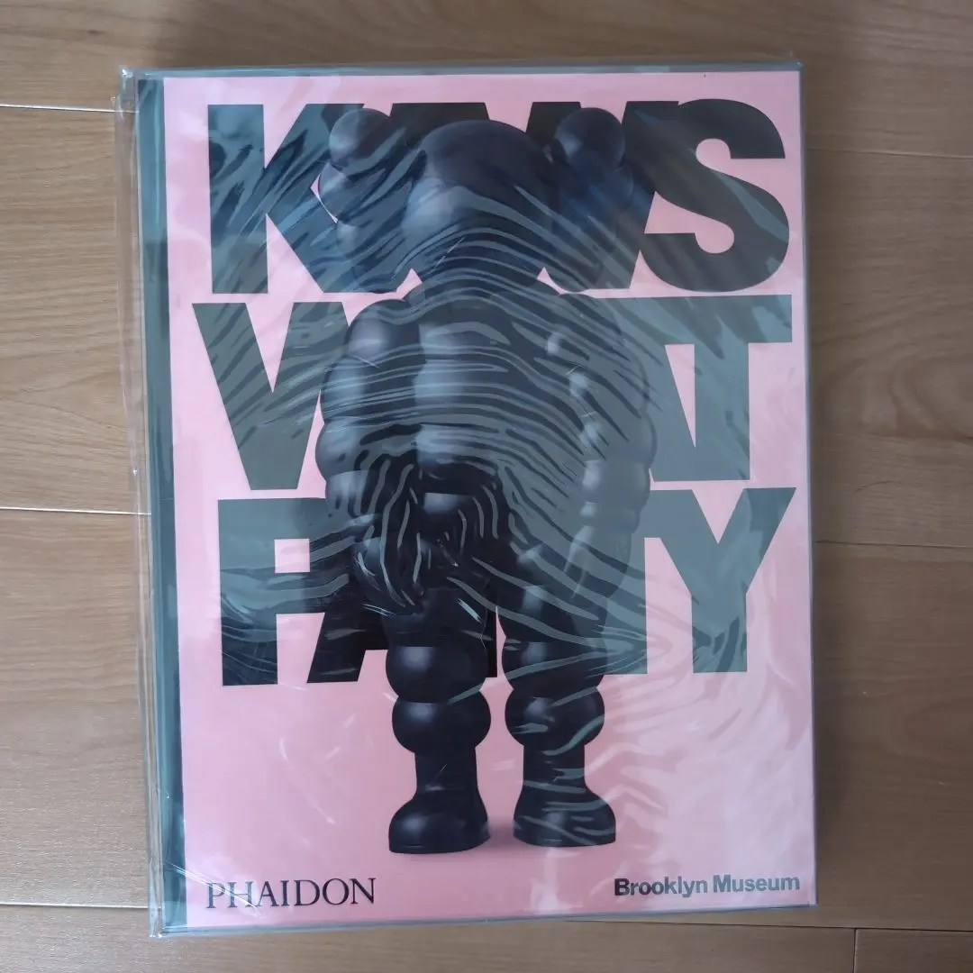 kaws rizzoli electa カウズ 作品集 図録 カタログ 洋書 KAWS カウズ 作品集 KAWS -の商品詳細 | 蔦屋書店オンラインストア