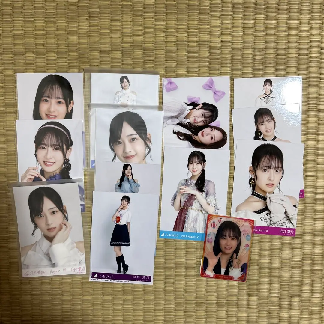 乃木坂46 向井葉月 生寫真 總匯 的縮圖