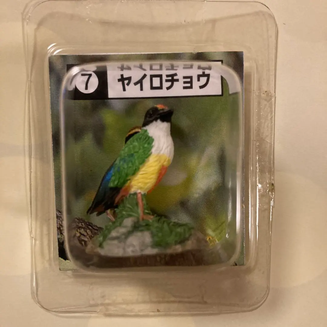 2025年最新】カバヤ彩色済フィギュアコレクション日本の小鳥の