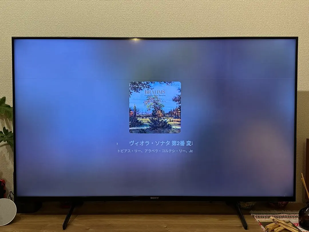 2025年最新】SONY テレビ21型の人気アイテム - メルカリ 2025年最新】SONY テレビ21型の人気アイテム - メルカリ