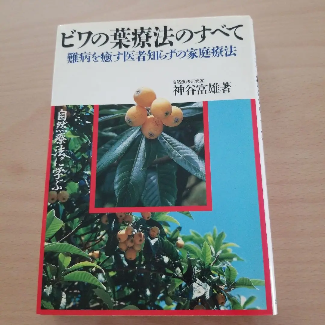 ビワの葉療法のすべて 難病を癒す医者知らずの家庭療法 自然療法に学ぶ Amazon.co.jp: ビワの葉療法のすべて: 難病を癒す医者知らずの