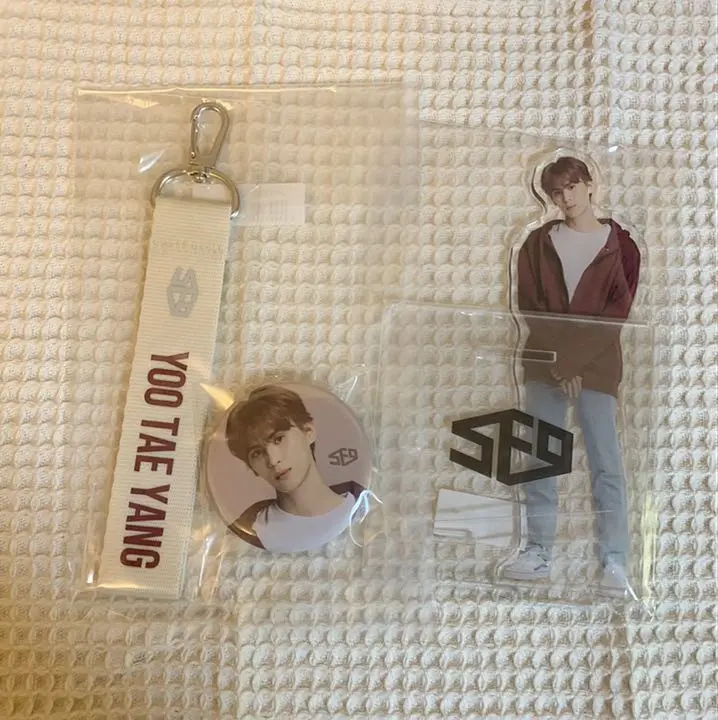 SF9 テヤン DWBH Zepp グッズ アクスタ トレカ うちわ セール☆SF9 テヤン DWBH Zepp グッズ アクスタ トレカ うちわ