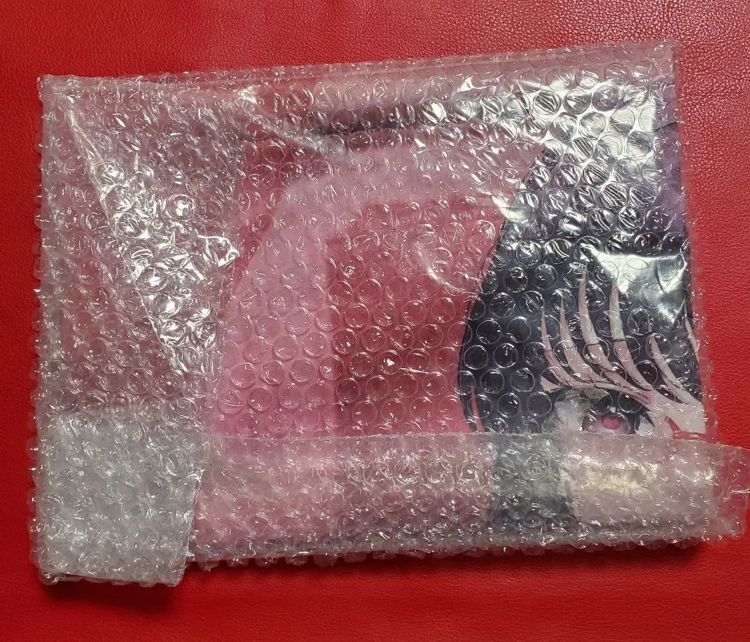 Thumbnail of Hiko Jutsushi no Boku, Dungeon Gakuen (1) Melonbooks Tapestry