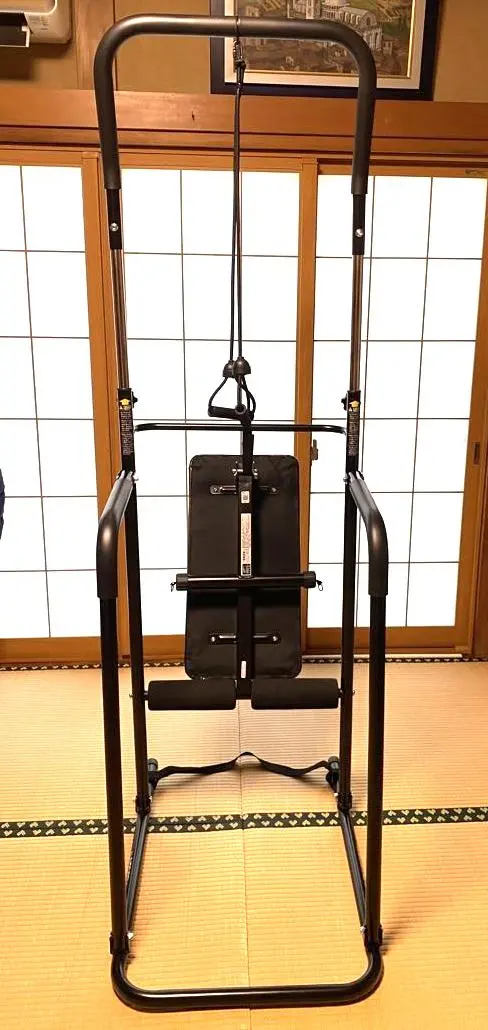 アルインコ【中古】懸垂マシン 高さ調整可能 スチール製 2025年最新】懸垂マシン アルインコの人気アイテム - メルカリ