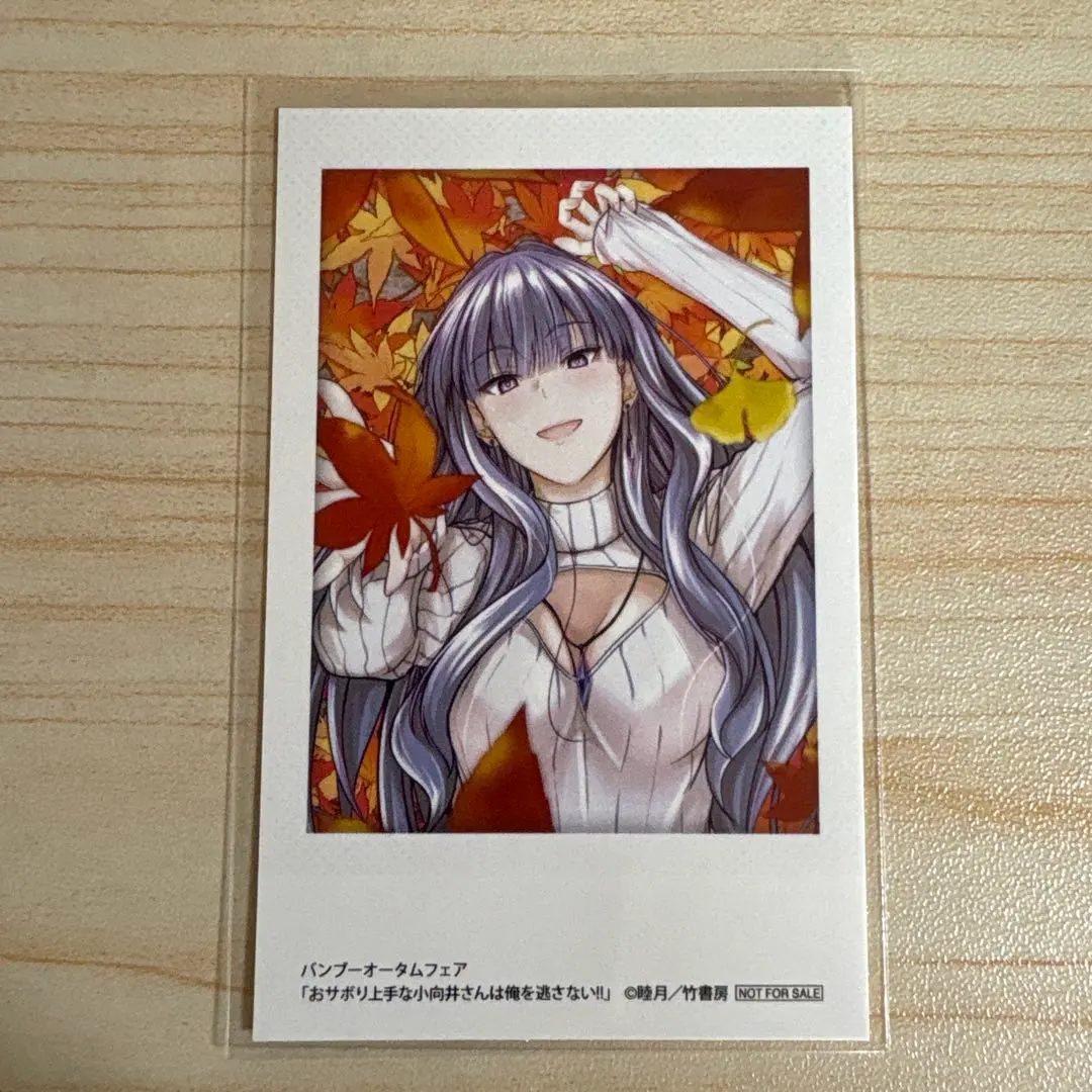 Gamers 竹秋季特典 懶惰的小向井同學不會放過我 的縮圖