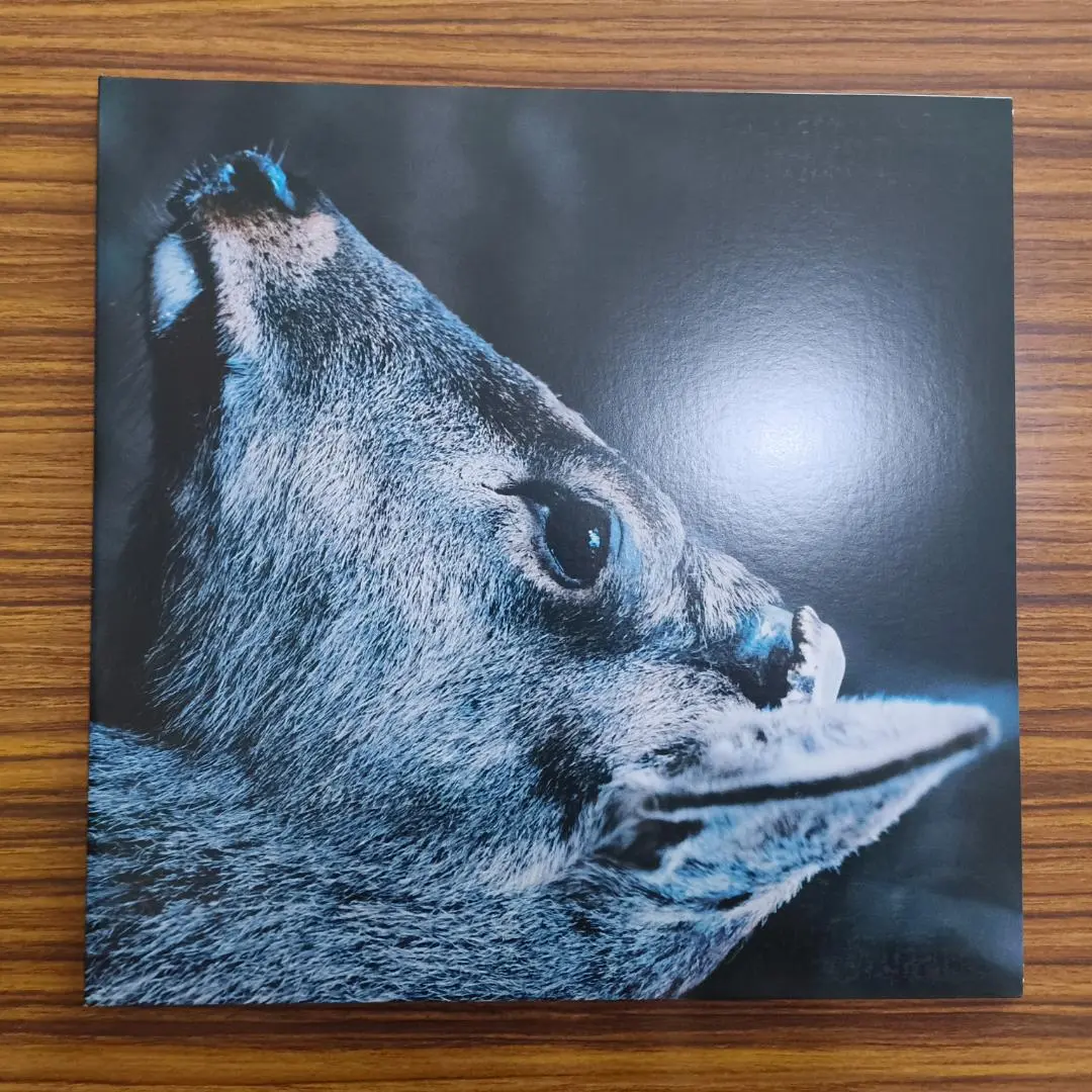 未使用品レコード　toe　The Book About My Idle Plot THE BOOK ABOUT MY IDLE PLOT ON A VAGUE ANXIETY (LP)/toe
