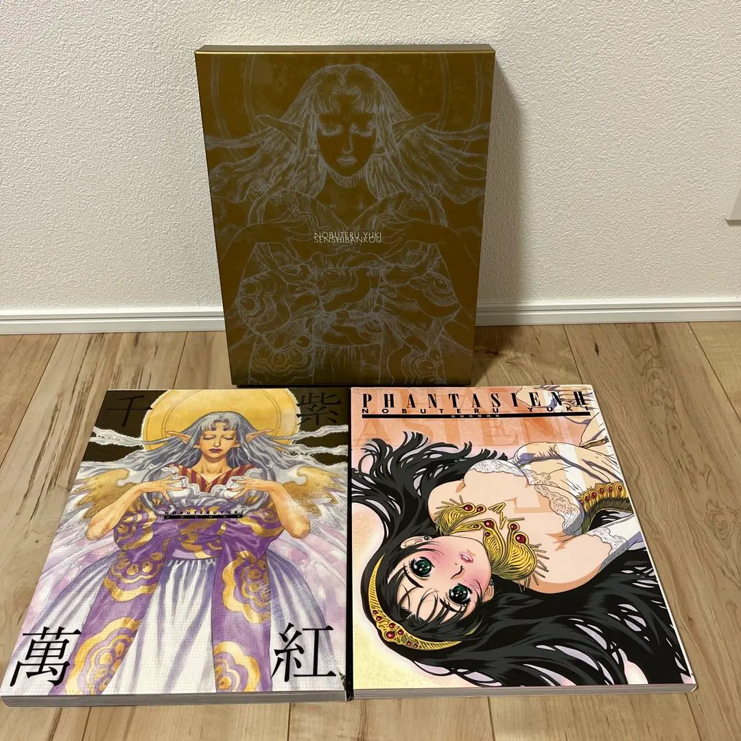 Phantasien : 結城信輝画集(結城信輝 著) / 古本、中古本、古