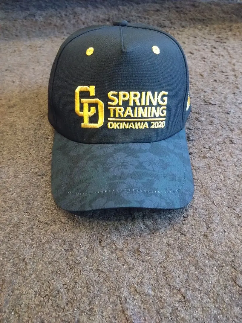 2025年最新】ドラゴンズ キャンプ 帽子の人気アイテム - メルカリ