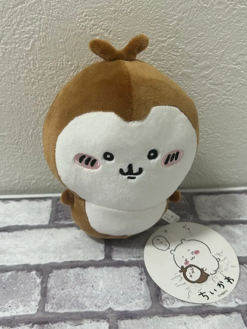 Thumbnail of Chikawa with Beetle Plushie - Beetle