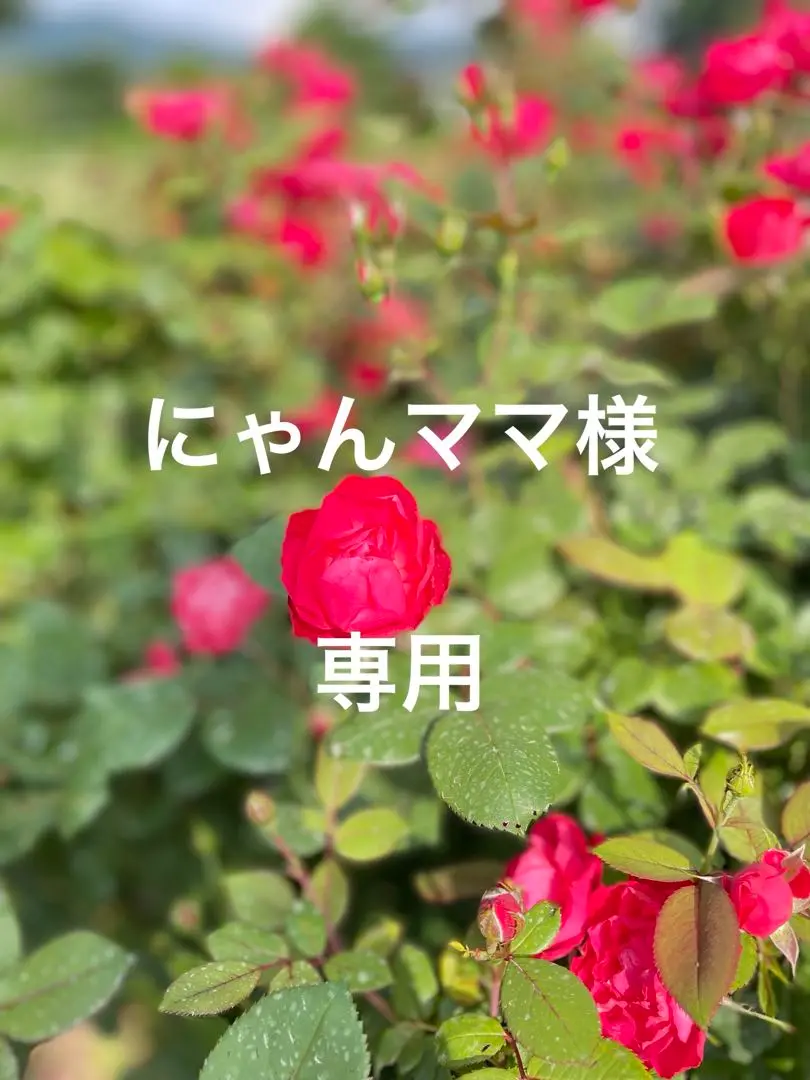 バカラ　箸置き 楽天市場】バカラ箸置きの通販