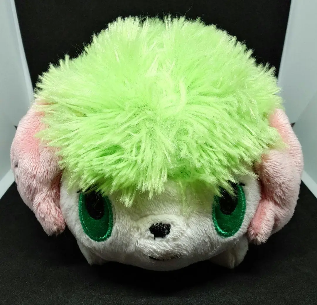 ポケドール 6体セット！