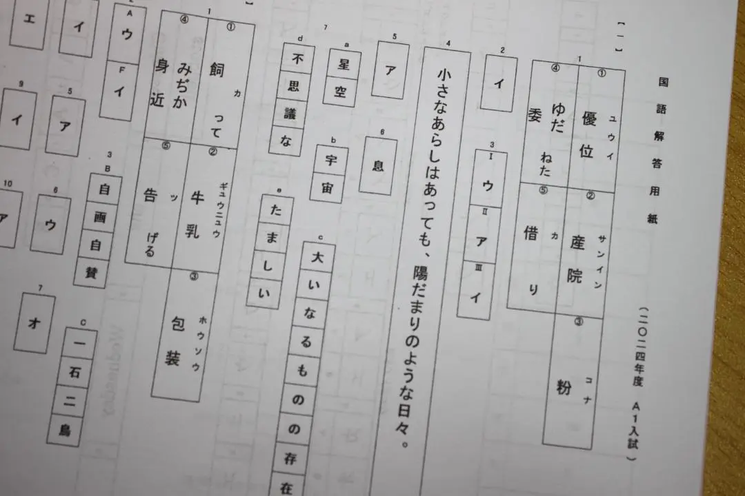 梅花中学校合格レベル問題集2ヶ月セット+要点解説講座セット 梅花中学校合格レベル問題集2ヶ月セット+要点解説講座セット