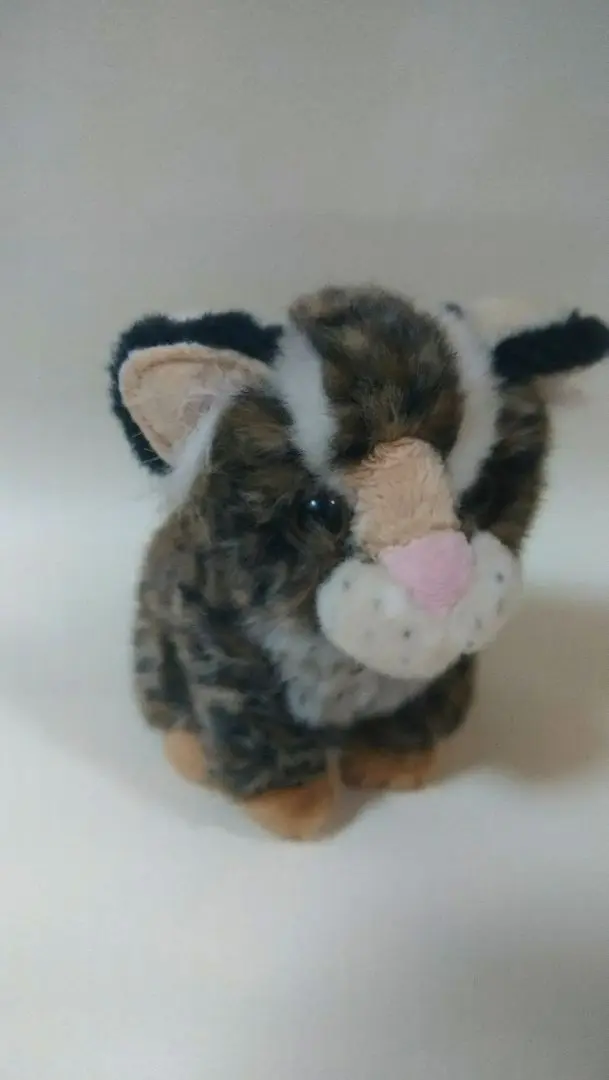レア商品　西表島山猫 イリオモテヤマネコ　ぬいぐるみ 昭和レトロ レア商品 西表島山猫 イリオモテヤマネコ ぬいぐるみ 昭和レトロ