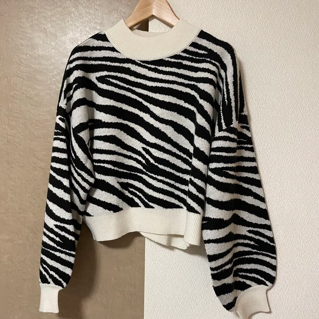 Thumbnail of INGNI Zebra Pattern Long Sleeve Knit Sweater