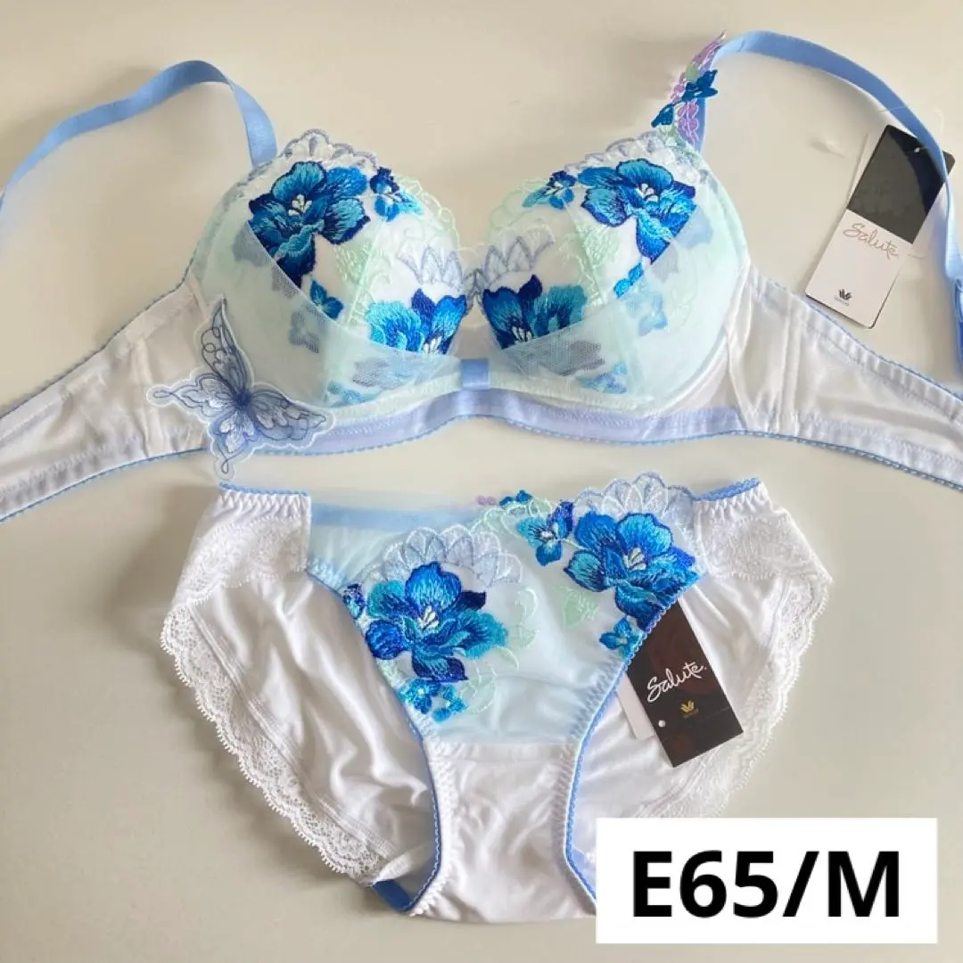 新品☆ワコール☆サルート☆水瓶座・アクエリアス☆ＷＨ☆Ｄ７０＆ローライズＭ 新品・タグ付き☆ワコール☆サルート☆水瓶座・アクエリアス