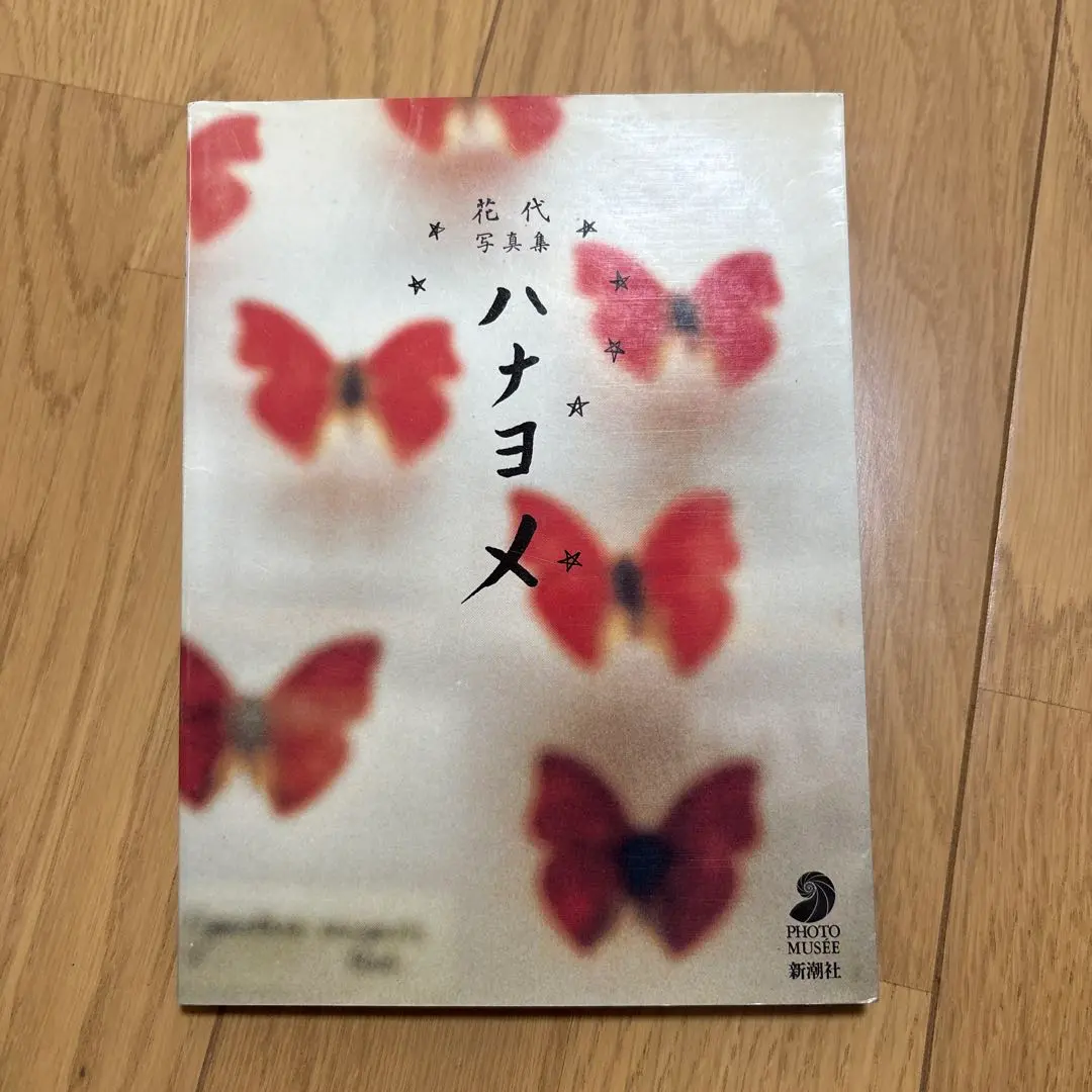 ベルリン　花代　　月曜社　//写真集 花代 | タカ・イシイギャラリー / Taka Ishii Gallery