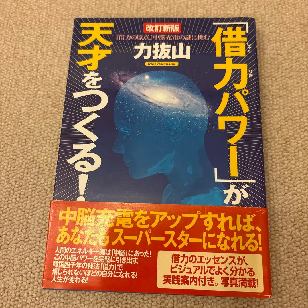 中古本 借力しゃくりきの軌跡 力抜山 著 2025年最新】力抜山の人気アイテム - メルカリ