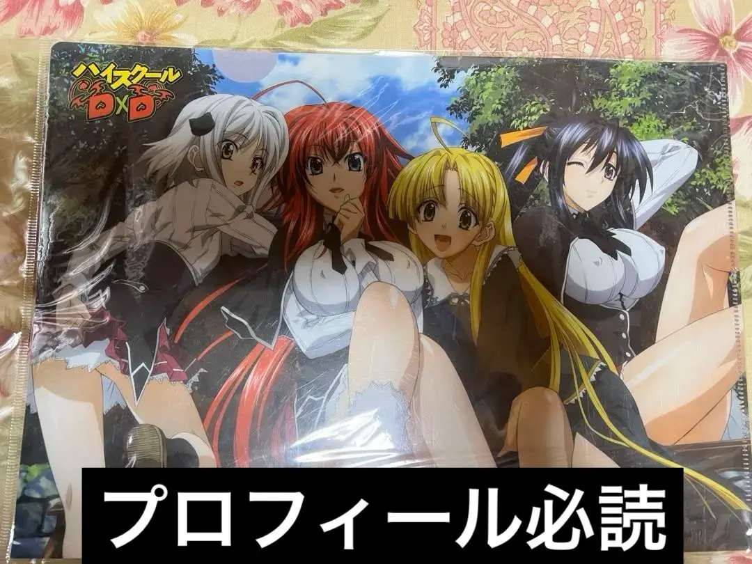 2025年最新】タイトル：ハイスクールDxD クリアファイルの人気