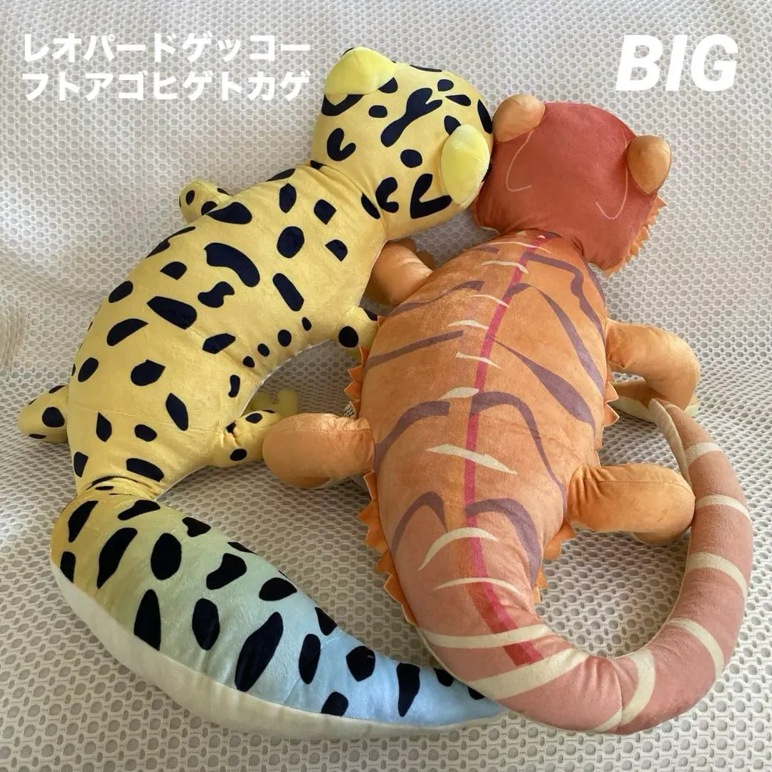 レオパードゲッコーフトアゴヒゲトカゲ　アカハライモリニホントカゲBIGぬいぐるみ レオパードゲッコーフトアゴヒゲトカゲBIGぬいぐるみセット