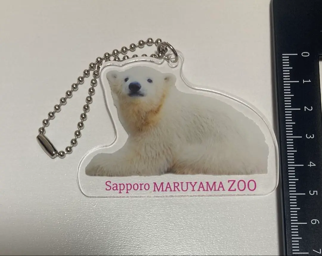 2025年最新】円山動物園 キーホルダーの人気アイテム - メルカリ